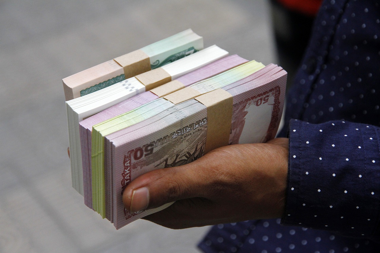 Money Bills Currency Taka - MARUF_RAHMAN / Pixabay